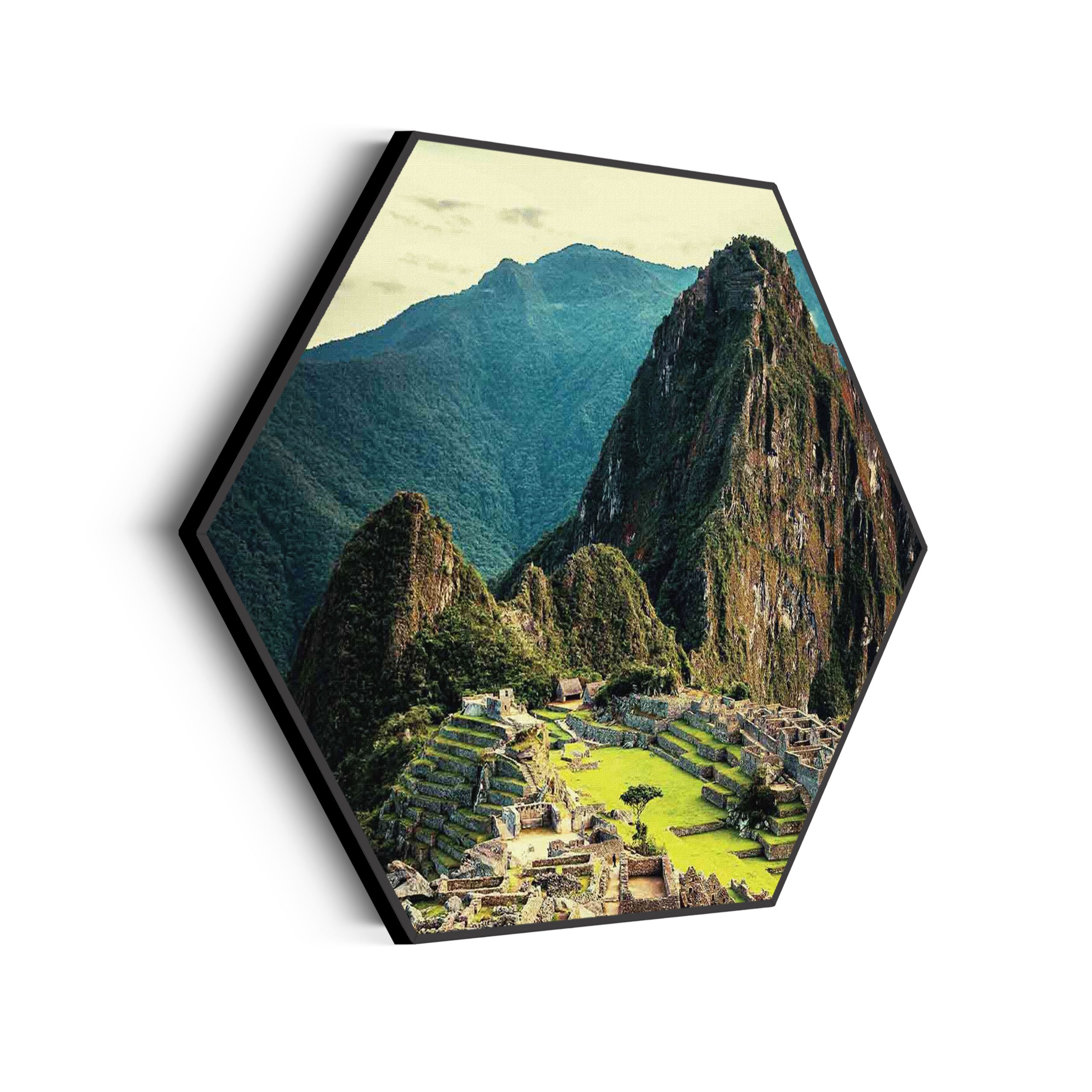 Template_Hexagon_natuur_48-scaled Akoestisch Schilderij Machu Picchu 2 Hexagon Template Hexagon natuur 48 scaled 1