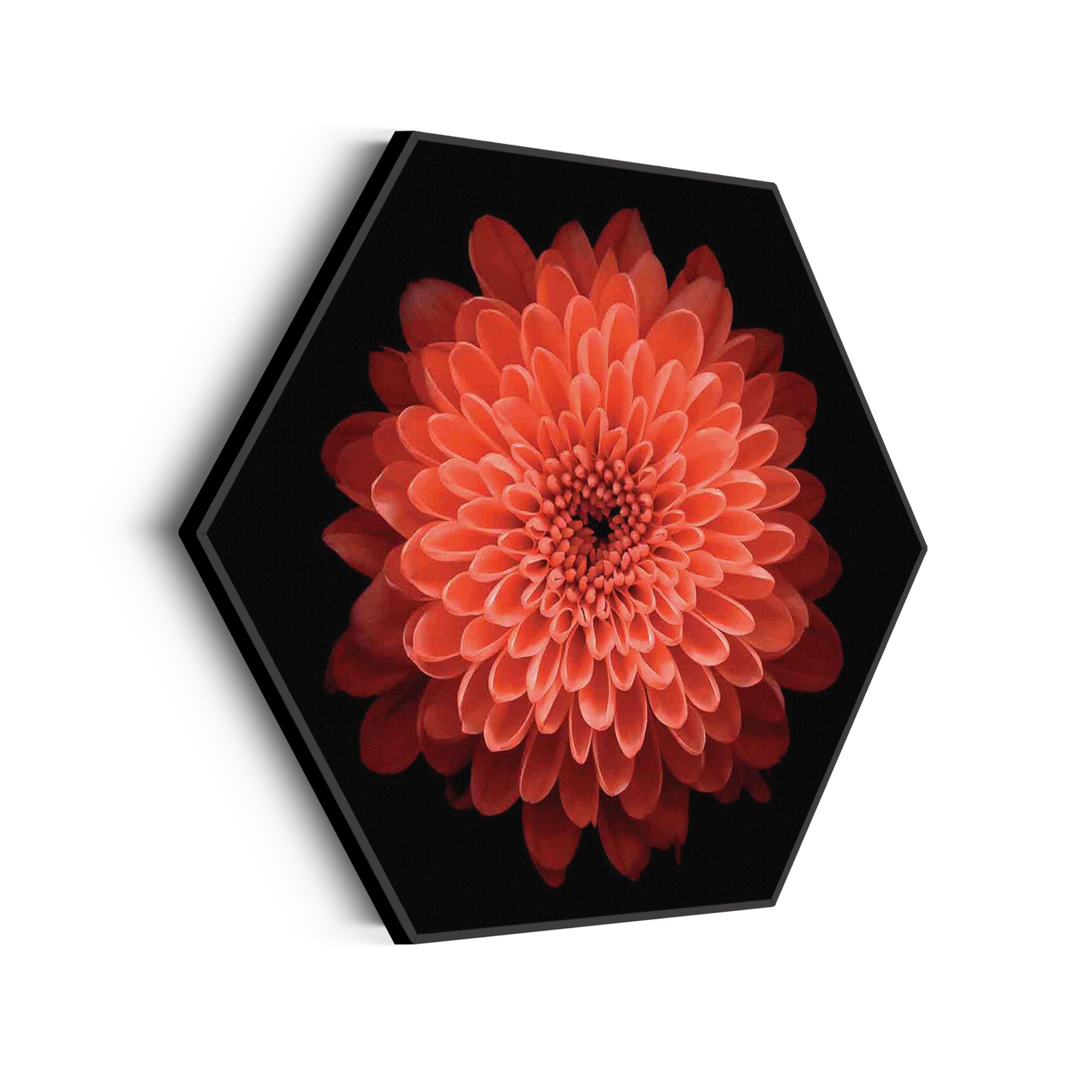 Akoestisch Schilderij Oranje Dahlia Hexagon Template Hexagon natuur 53 scaled 1
