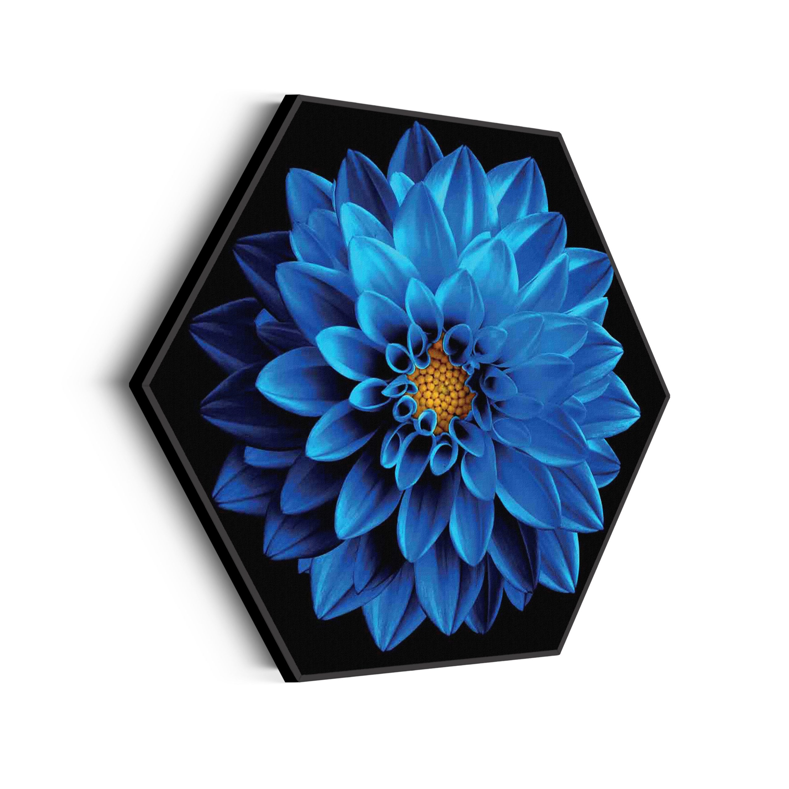 Akoestisch Schilderij Blauwe Dahlia Hexagon Template Hexagon natuur 54 scaled 1