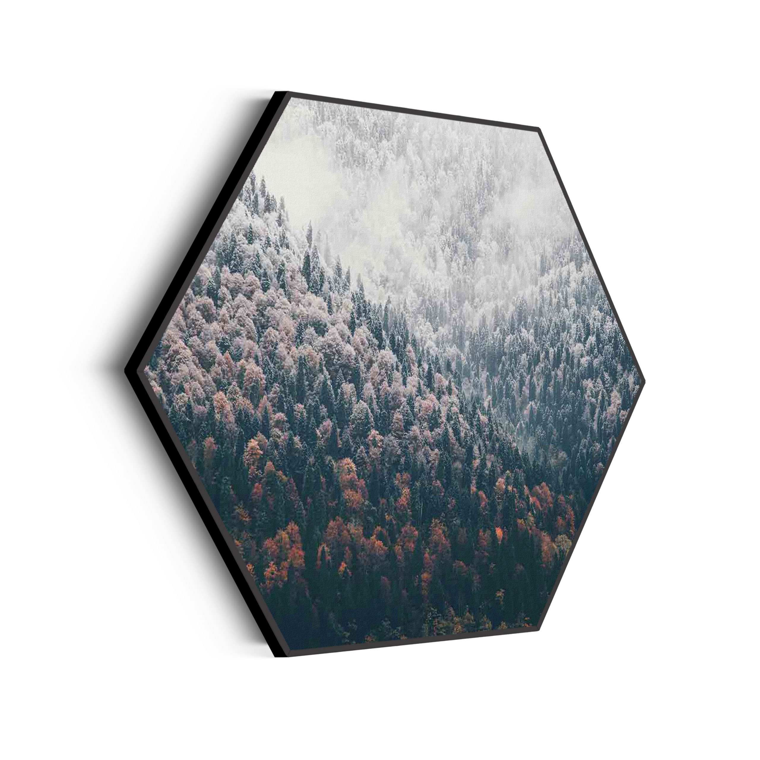 Akoestisch Schilderij Van herfst naar winter Hexagon Template Hexagon natuur 59 scaled 1
