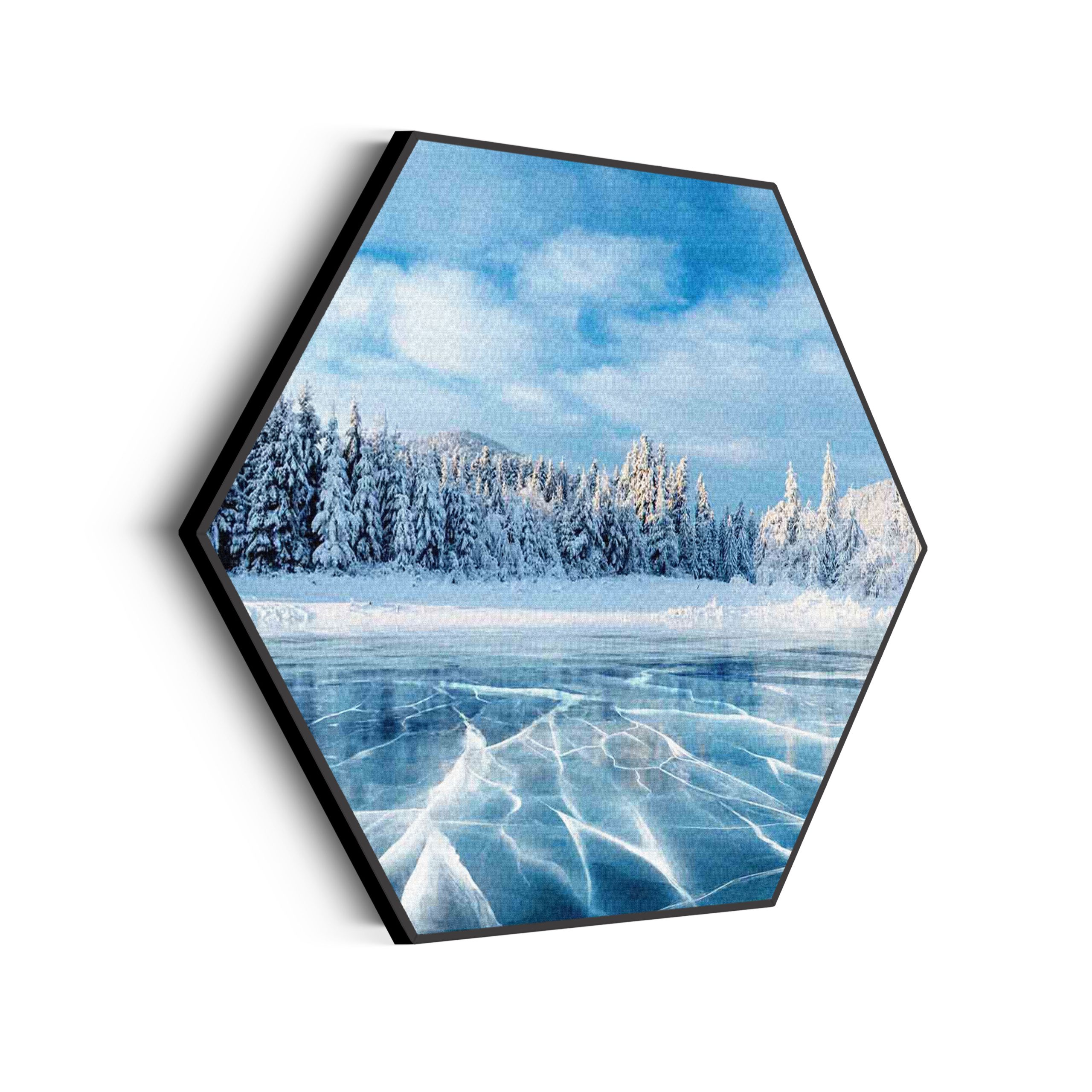 Template_Hexagon_natuur_63-scaled Akoestisch Schilderij Ijzige winter Hexagon Template Hexagon natuur 63 scaled 1