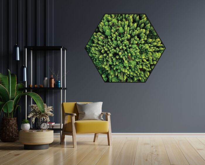 Akoestisch Schilderij Het groene bos Hexagon Template Hexagon natuur 64 1 scaled 1
