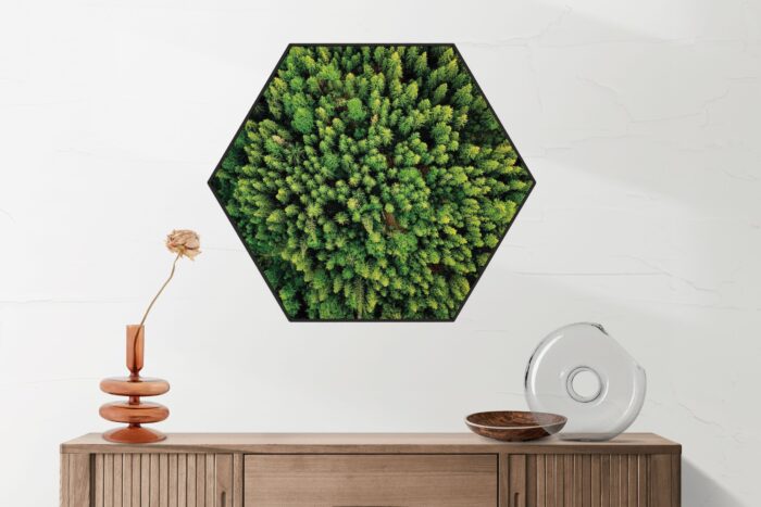 Akoestisch Schilderij Het groene bos Hexagon Template Hexagon natuur 64 2 scaled 1
