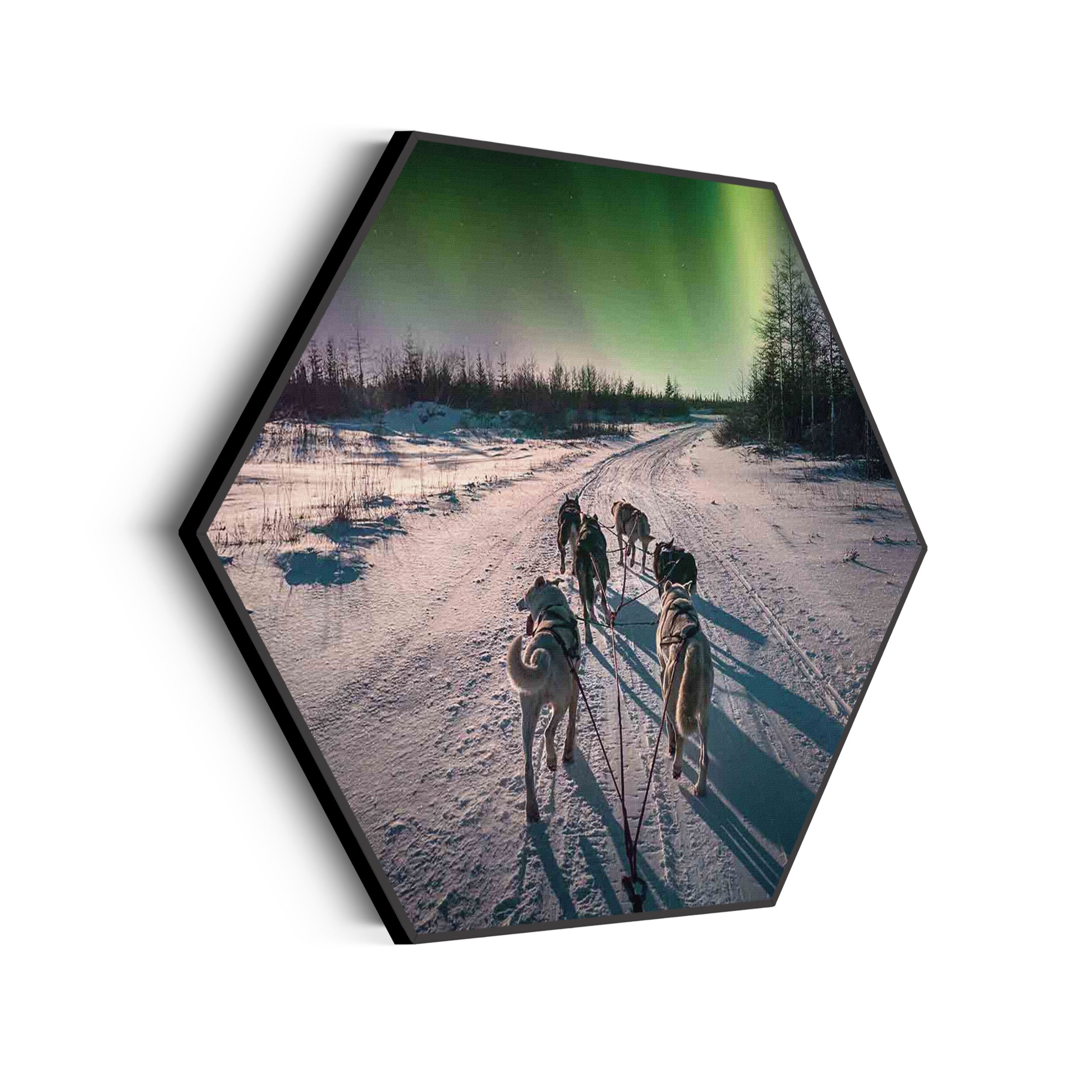 Akoestisch Schilderij Huskies door Lapland Hexagon Template Hexagon natuur 66 scaled 1