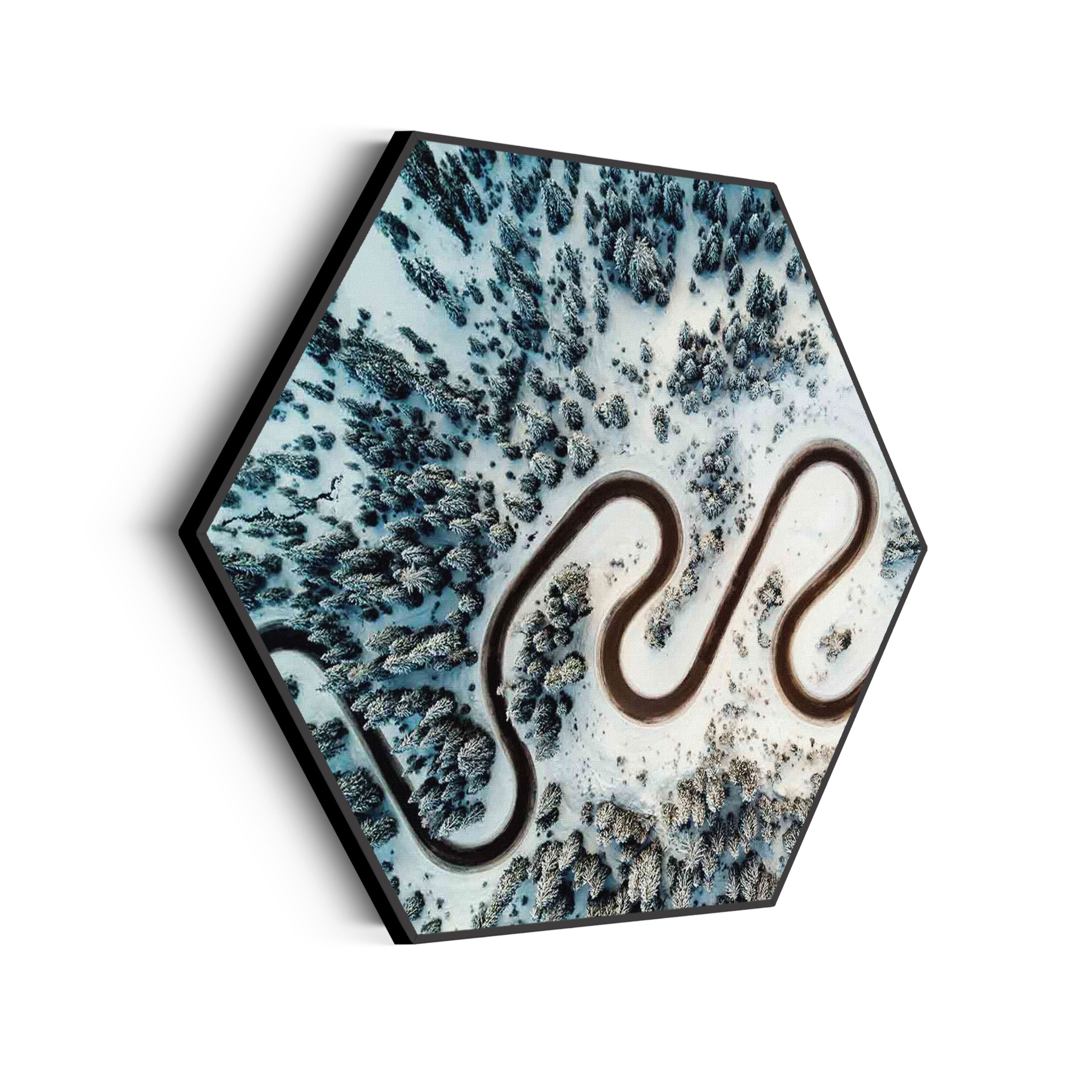 Template_Hexagon_natuur_70-scaled Akoestisch Schilderij Weg door een witte wereld Hexagon Template Hexagon natuur 70 scaled 1