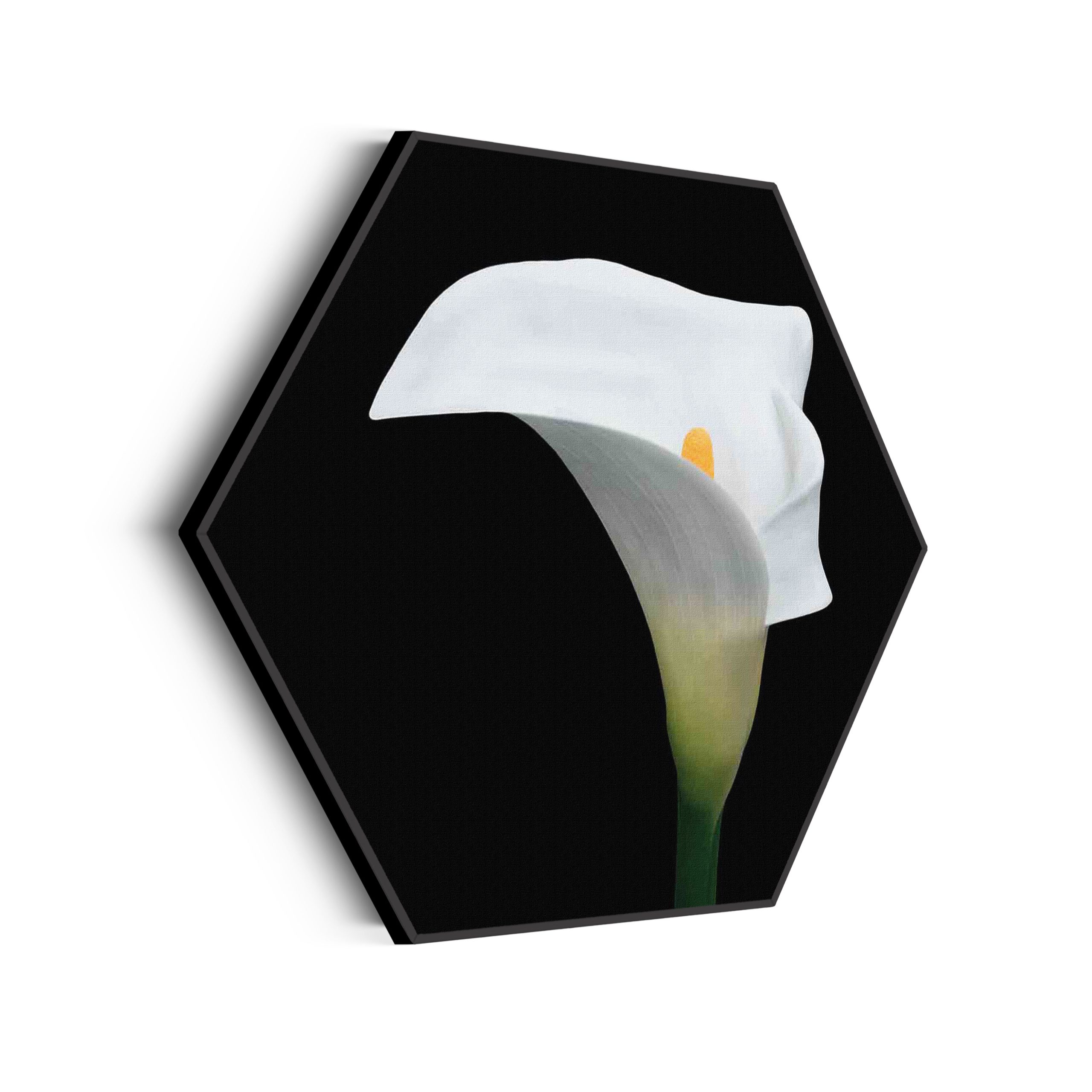 Akoestisch Schilderij Witte Lelie Hexagon Template Hexagon natuur 73 scaled 1