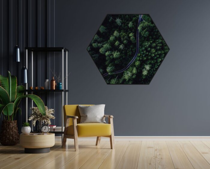 Akoestisch Schilderij Weg door het bos Hexagon Template Hexagon natuur 74 1 scaled 1