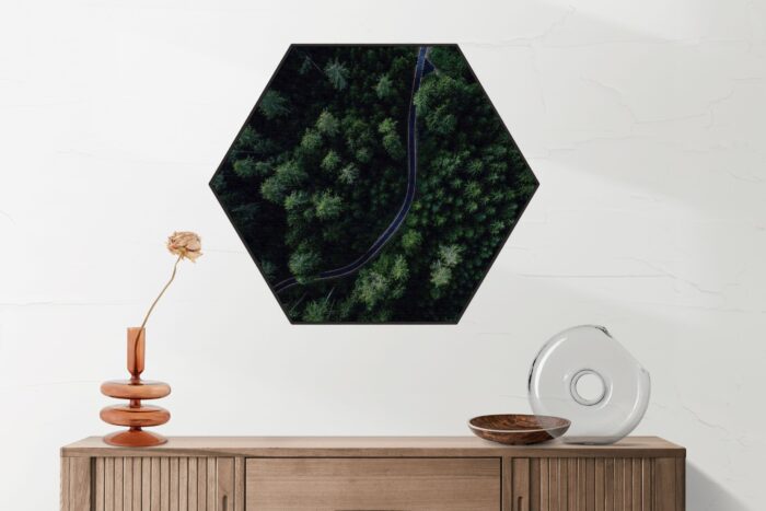 Akoestisch Schilderij Weg door het bos Hexagon Template Hexagon natuur 74 2 scaled 1