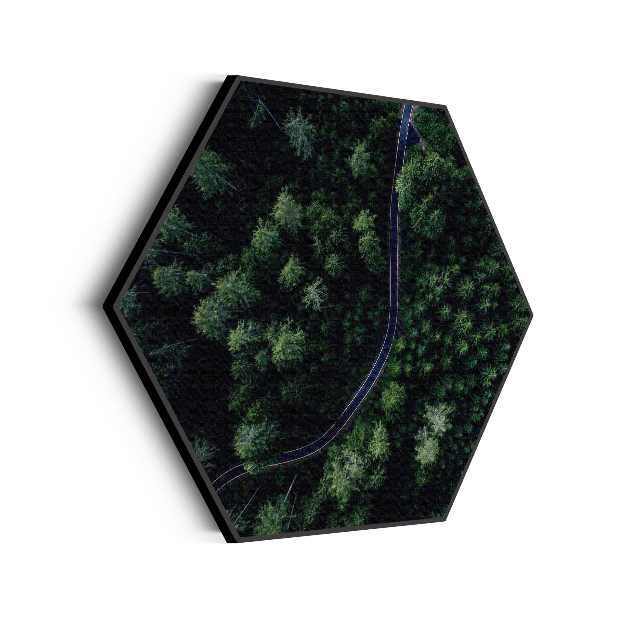 Template_Hexagon_natuur_74-scaled Akoestisch Schilderij On top of the world Hexagon Template Hexagon natuur 74 scaled 1