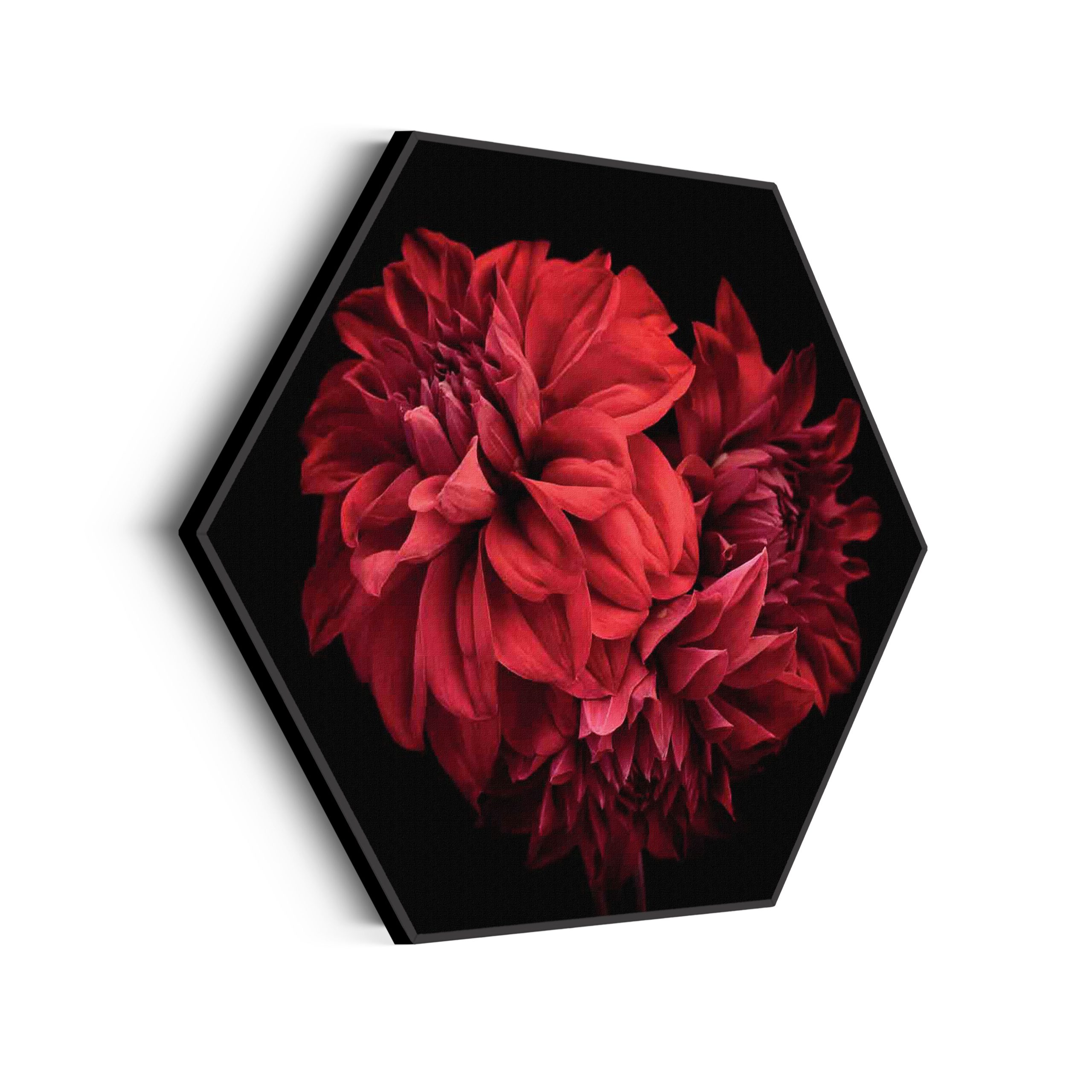 Template_Hexagon_natuur_75-scaled Akoestisch Schilderij On top of the world Hexagon Template Hexagon natuur 75 scaled 1