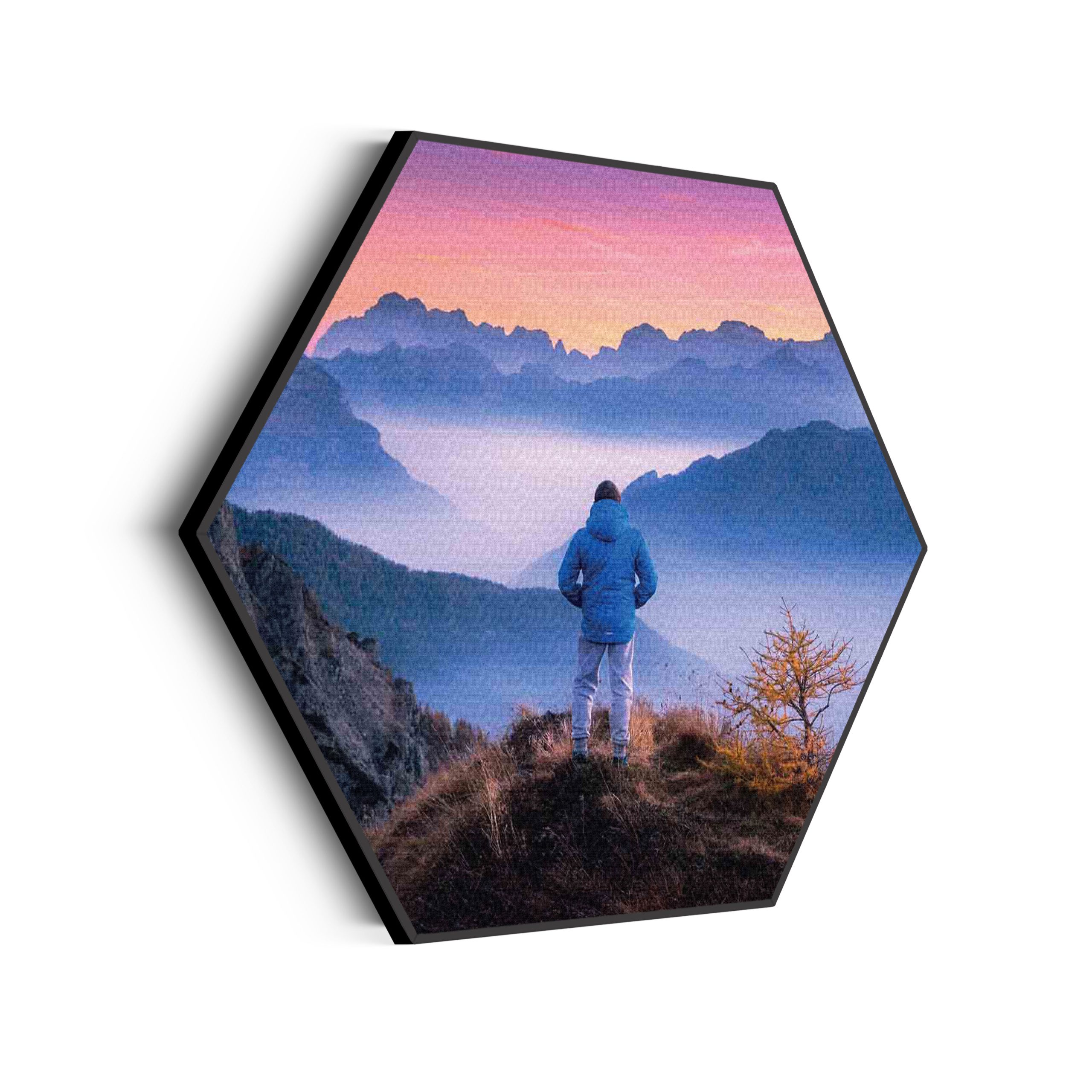 Template_Hexagon_natuur_76-scaled Akoestisch Schilderij On top of the world Hexagon Template Hexagon natuur 76 scaled 1