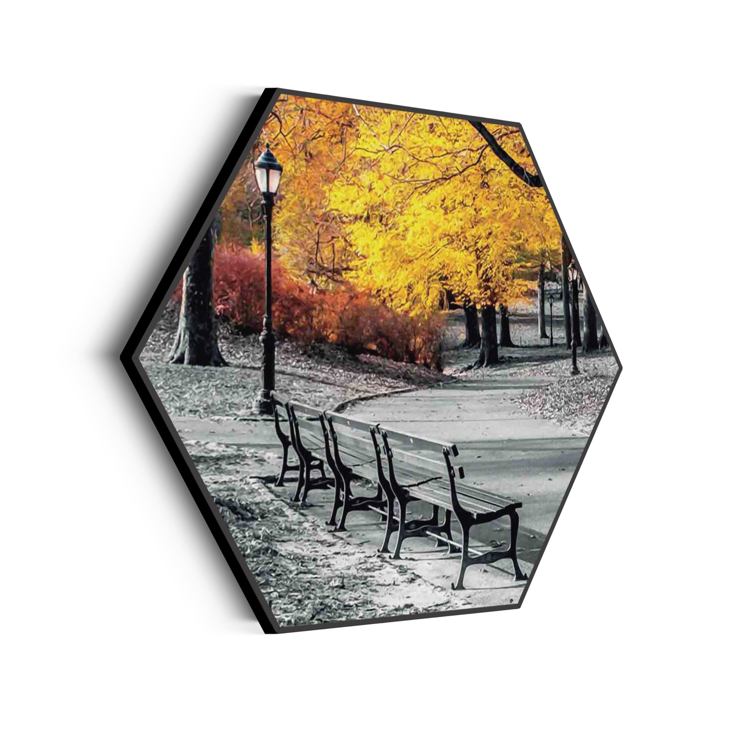 Akoestisch Schilderij Het Donkere Bos Hexagon Template Hexagon natuur 8 scaled 1