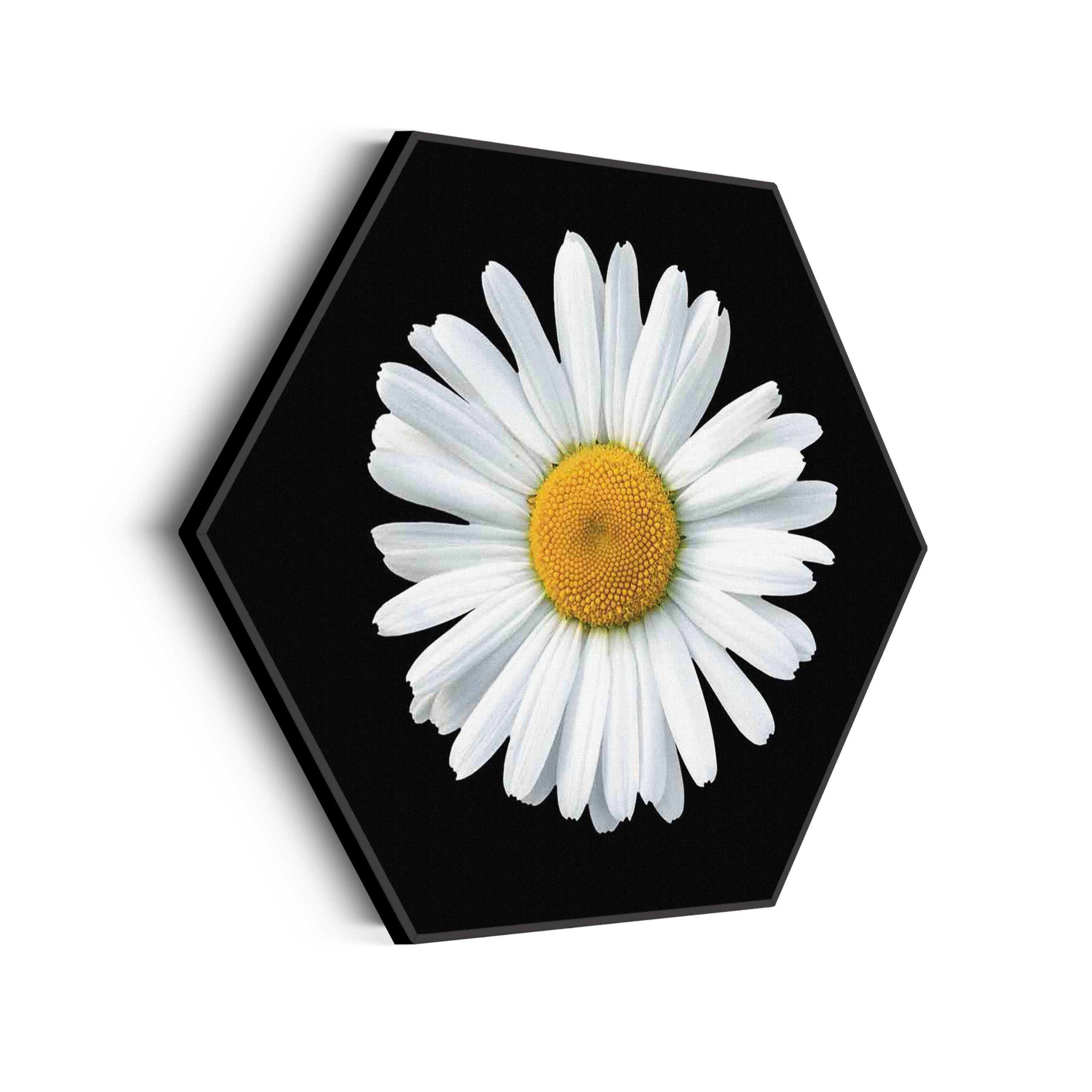 Template_Hexagon_natuur_80-scaled Akoestisch Schilderij On top of the world Hexagon Template Hexagon natuur 80 scaled 1