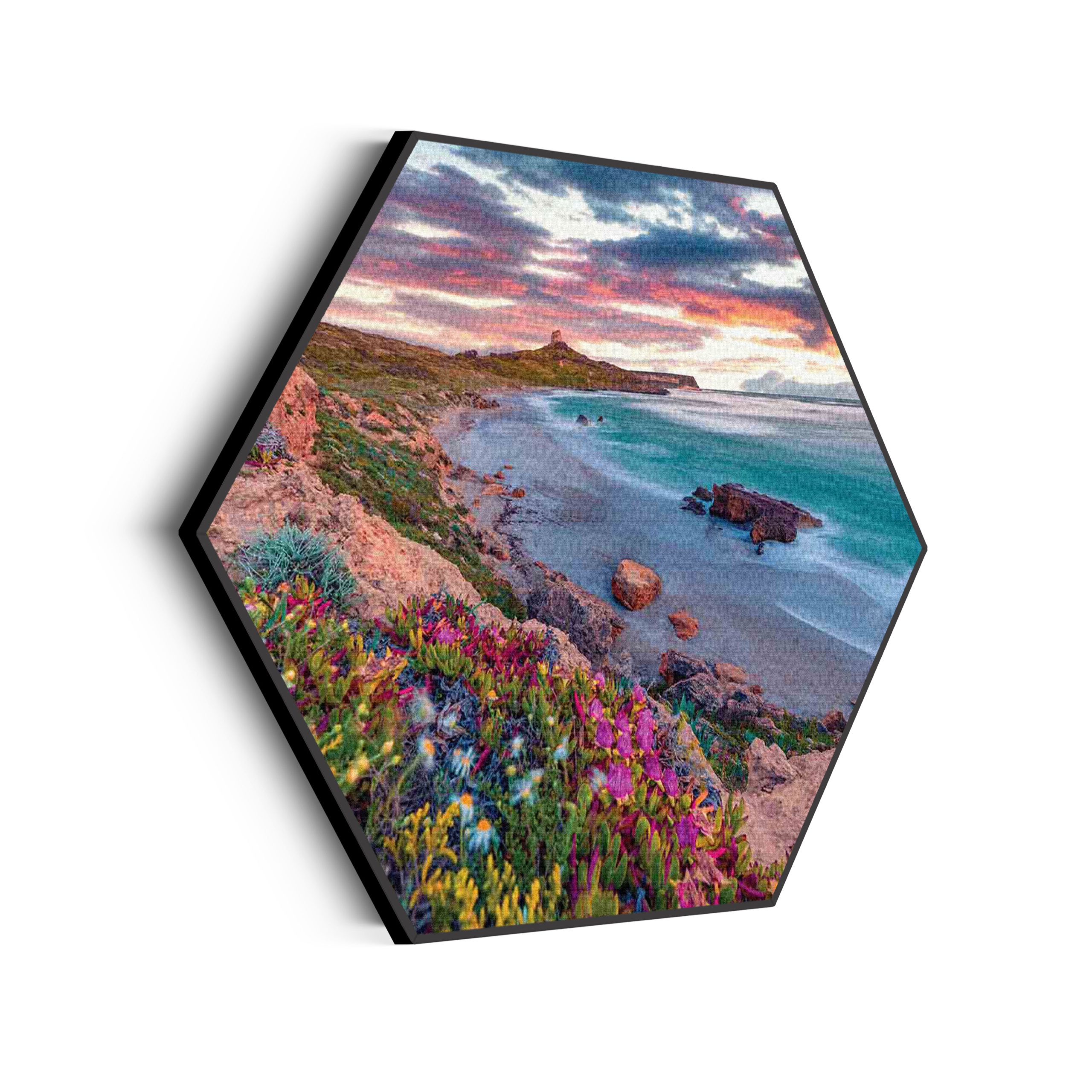 Template_Hexagon_natuur_81-scaled Akoestisch Schilderij On top of the world Hexagon Template Hexagon natuur 81 scaled 1