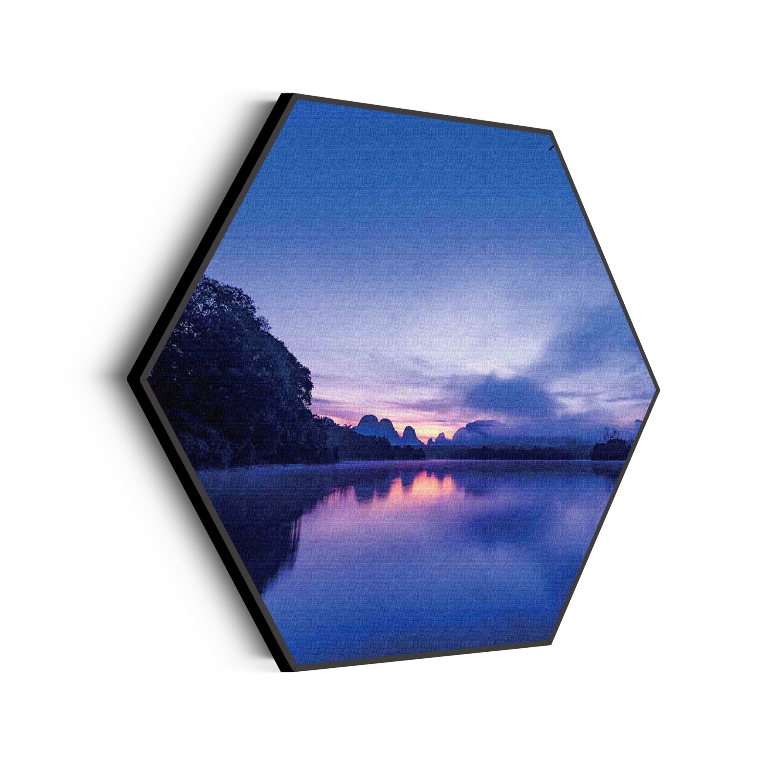 Template_Hexagon_natuur_85-scaled Akoestisch Schilderij On top of the world Hexagon Template Hexagon natuur 85 scaled 1