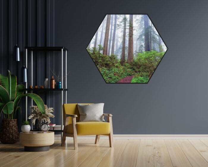 Akoestisch Schilderij Sequoia bos Hexagon Template Hexagon natuur 88 1 scaled 1