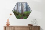 Akoestisch Schilderij Sequoia bos Hexagon Template Hexagon natuur 88 2 scaled 1