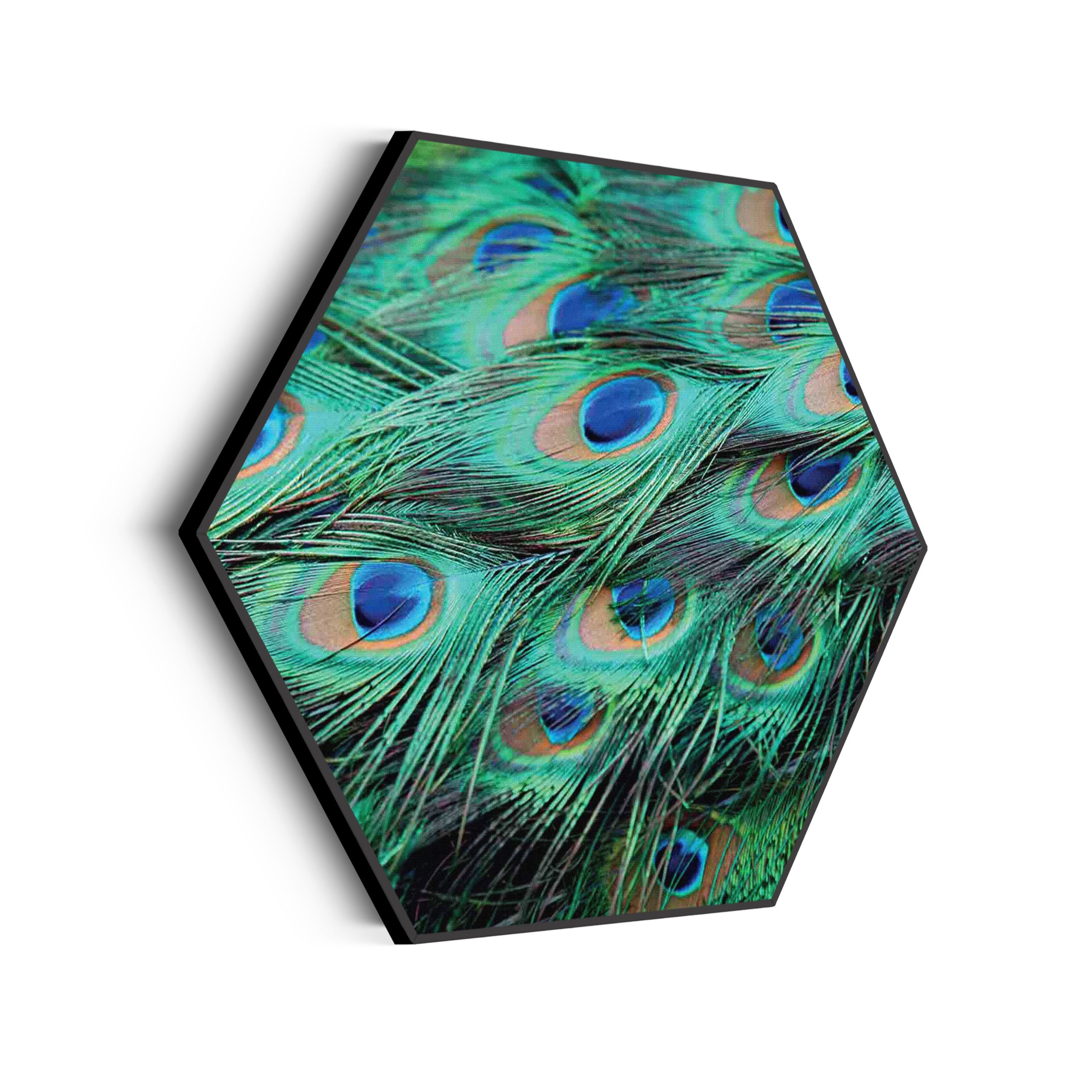 Template_Hexagon_natuur_89-scaled Akoestisch Schilderij On top of the world Hexagon Template Hexagon natuur 89 scaled 1