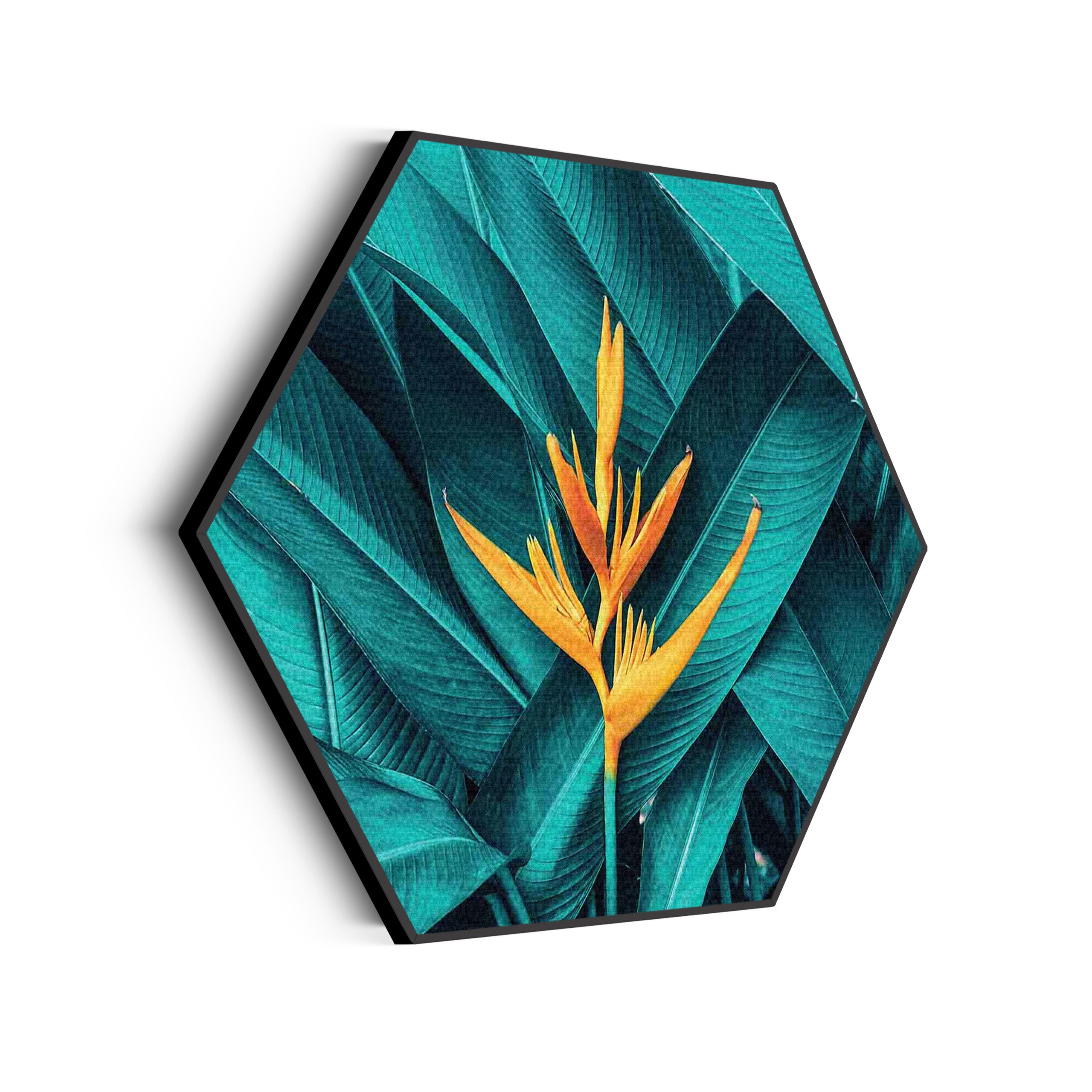 Akoestisch Schilderij Kleurrijke bloem 2 Hexagon Template Hexagon natuur 91 scaled 1