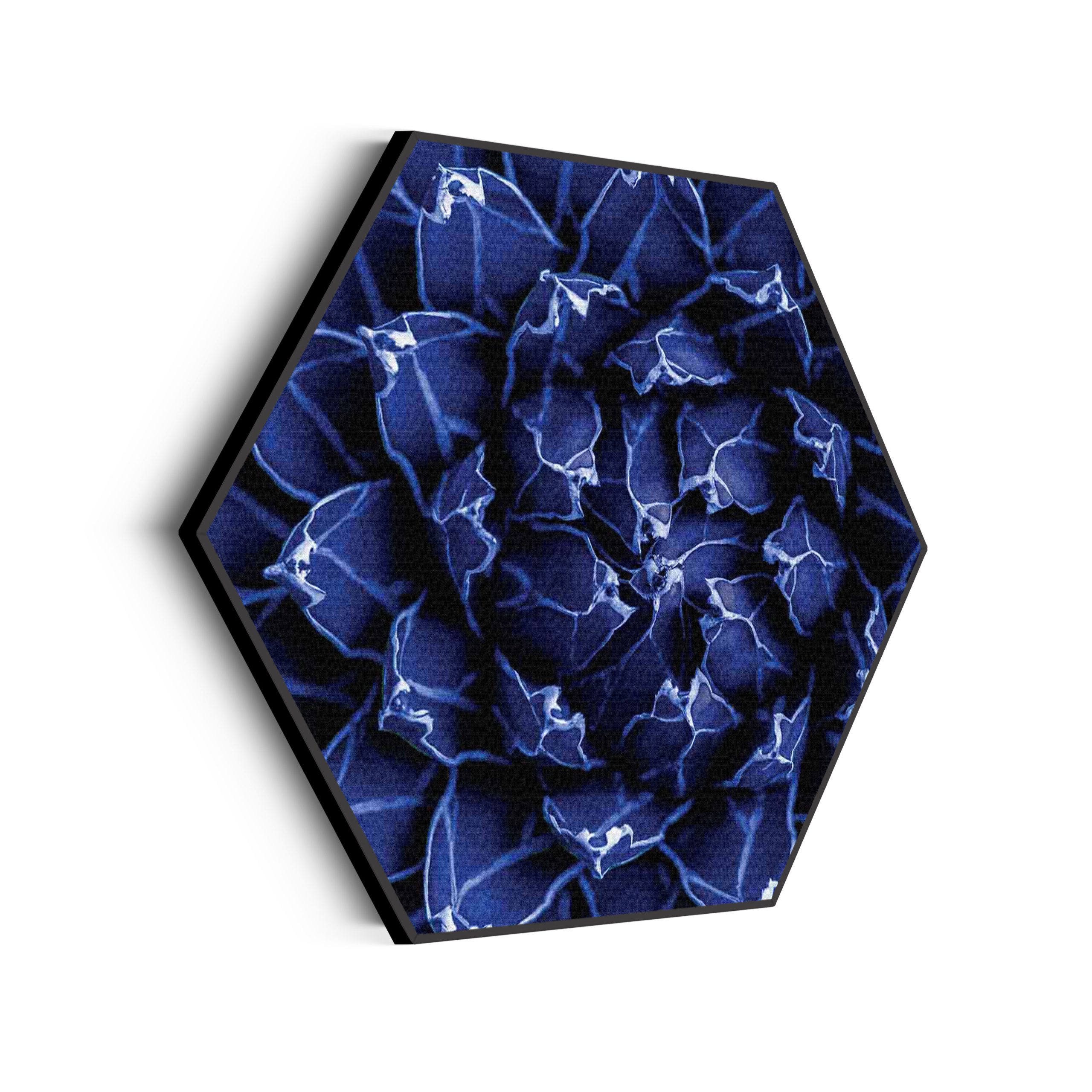 Akoestisch Schilderij Kleurrijke bloem 2 Hexagon Template Hexagon natuur 93 scaled 1