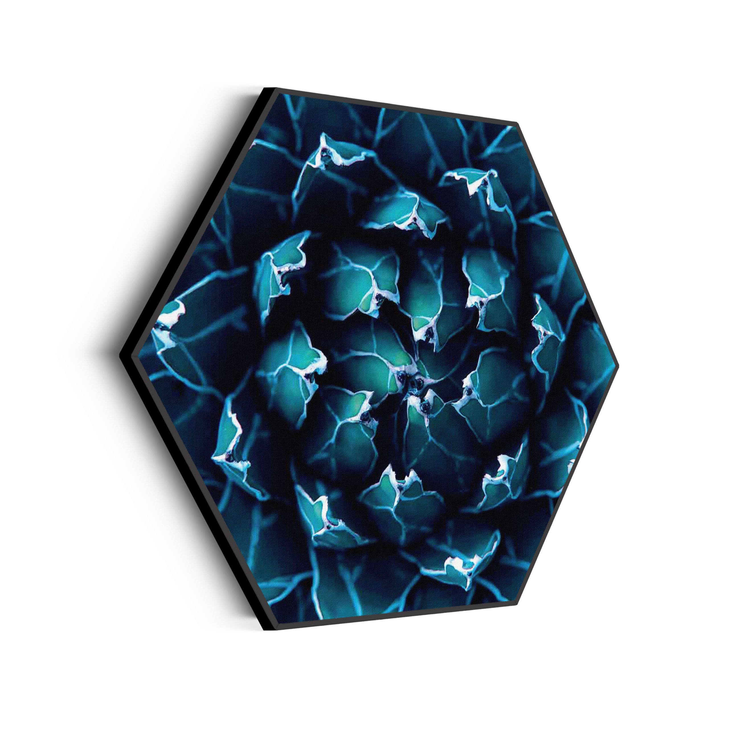 Template_Hexagon_natuur_94-scaled Akoestisch Schilderij Kleurrijke bloem 3 Hexagon Template Hexagon natuur 94 scaled 1