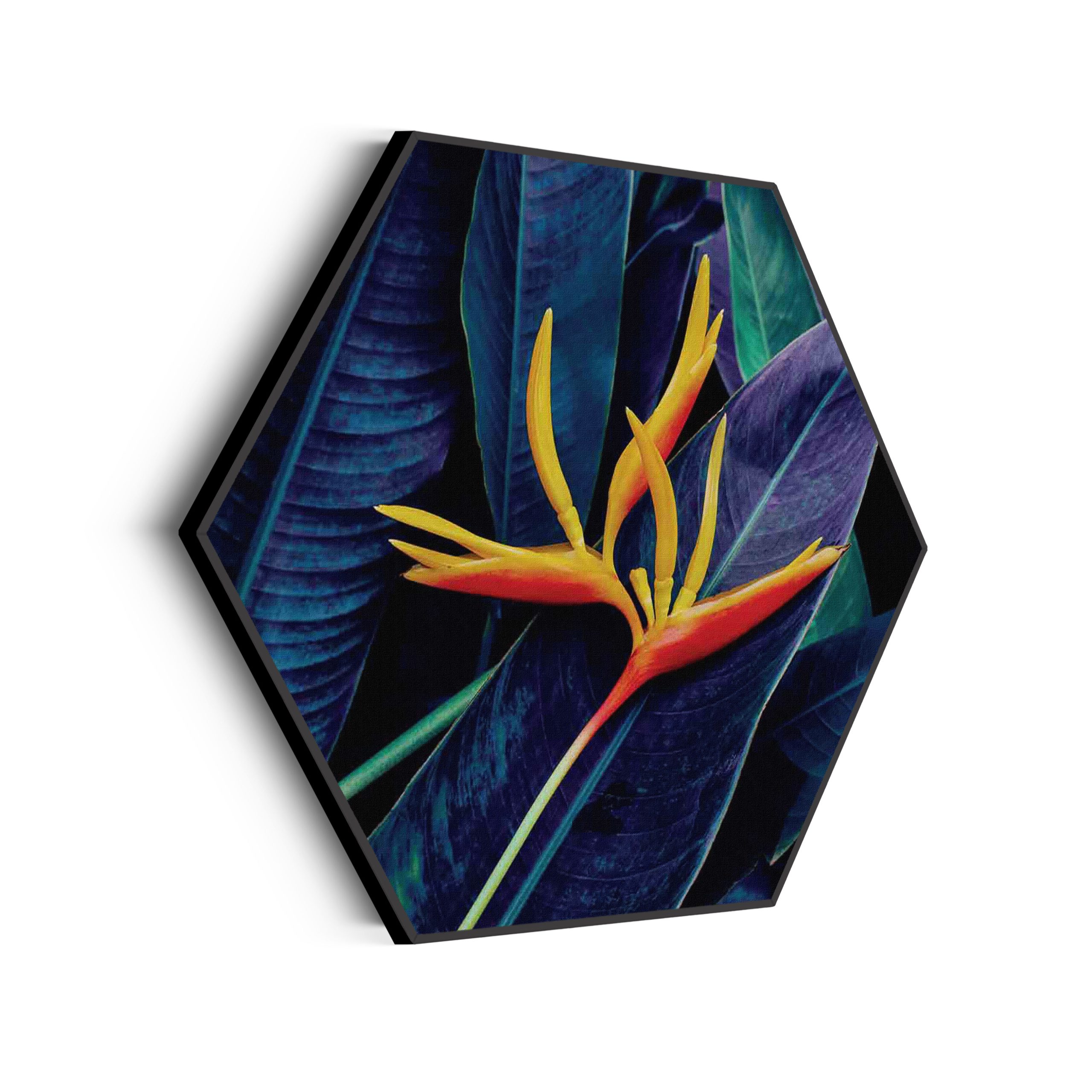 Akoestisch Schilderij Kleurrijke bloem 2 Hexagon Template Hexagon natuur 95 scaled 1