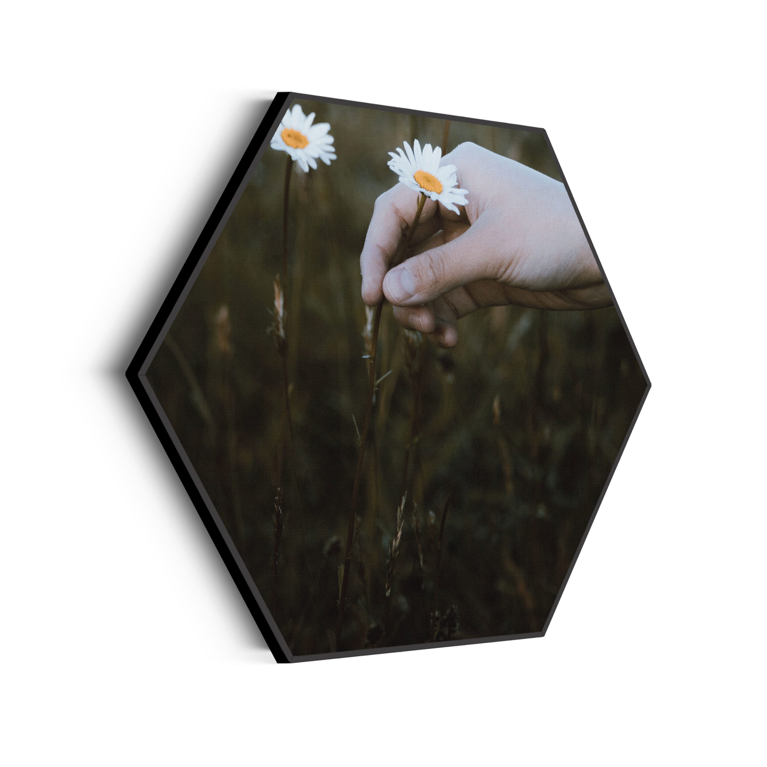 Akoestisch Schilderij Pak Maar Mijn Hand Hexagon Template Hexagon romantisch 7 scaled 1