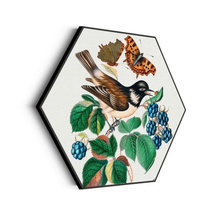 Akoestisch Schilderij Prent Natuur Vogel en Bloemen 01 Hexagon Template Hexagon vintage 14 scaled 1