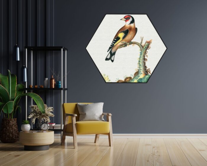 Akoestisch Schilderij Prent Natuur Vogel en Bloemen 01 Hexagon Template Hexagon vintage 15 1 scaled 1