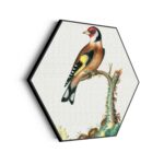 Akoestisch Schilderij Prent Natuur Vogel en Bloemen 01 Hexagon Template Hexagon vintage 15 scaled 1