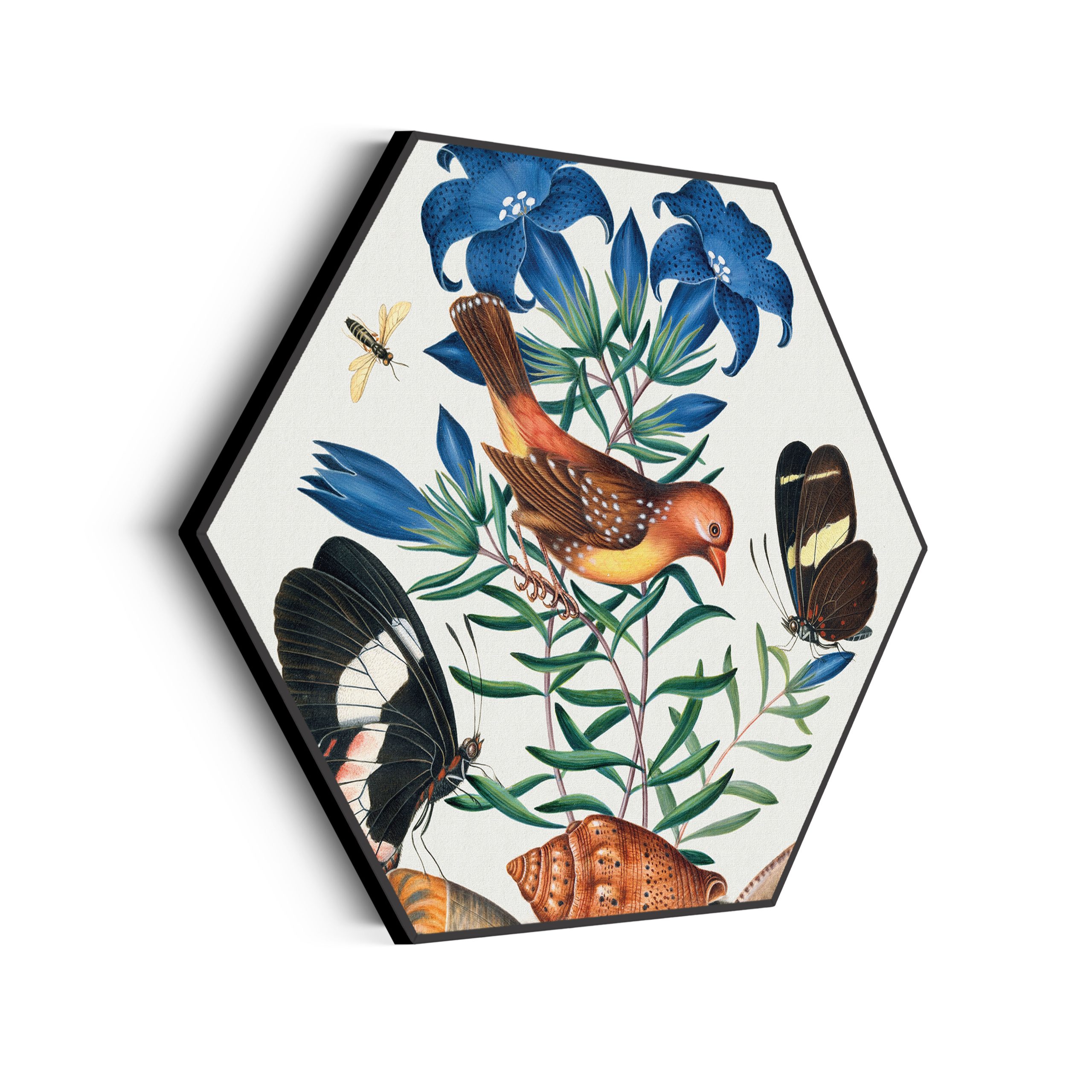 Akoestisch Schilderij Prent Natuur Vogel en Bloemen 02 Hexagon Template Hexagon vintage 2 scaled 1