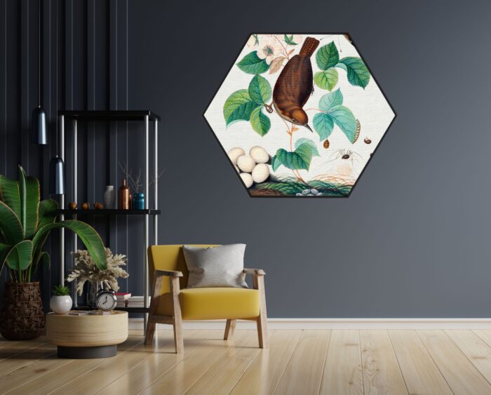 Akoestisch Schilderij Prent Natuur Vogel en Bloemen 01 Hexagon Template Hexagon vintage 3 1 scaled 1
