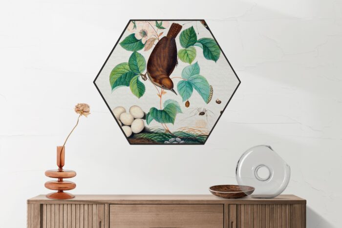 Akoestisch Schilderij Prent Natuur Vogel en Bloemen 03 Hexagon Template Hexagon vintage 3 2 scaled 1