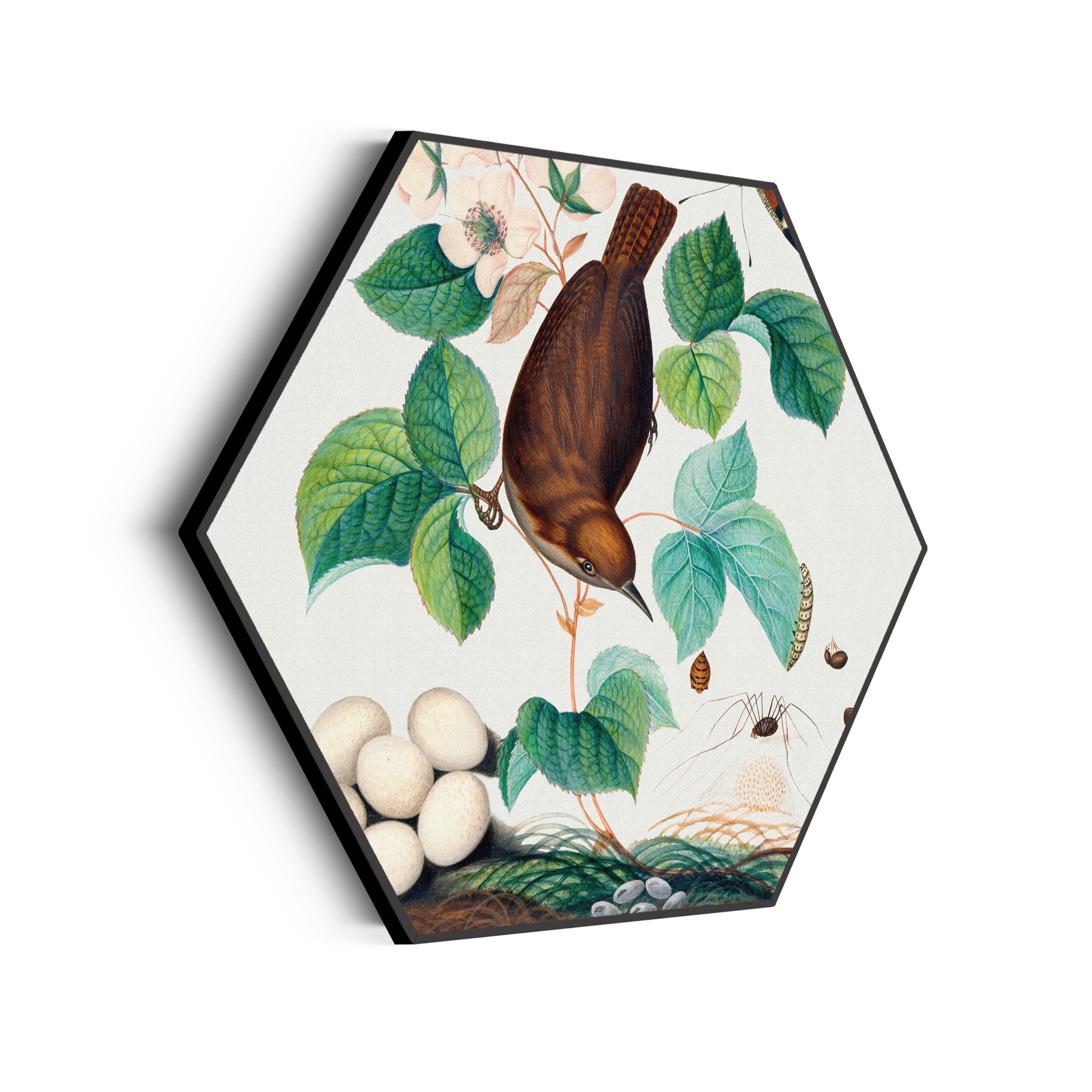 Akoestisch Schilderij Prent Natuur Vogel en Bloemen 03 Hexagon Template Hexagon vintage 3 scaled 1