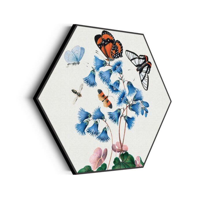 Akoestisch Schilderij Prent Natuur Vogel en Bloemen 01 Hexagon Template Hexagon vintage 4 scaled 1