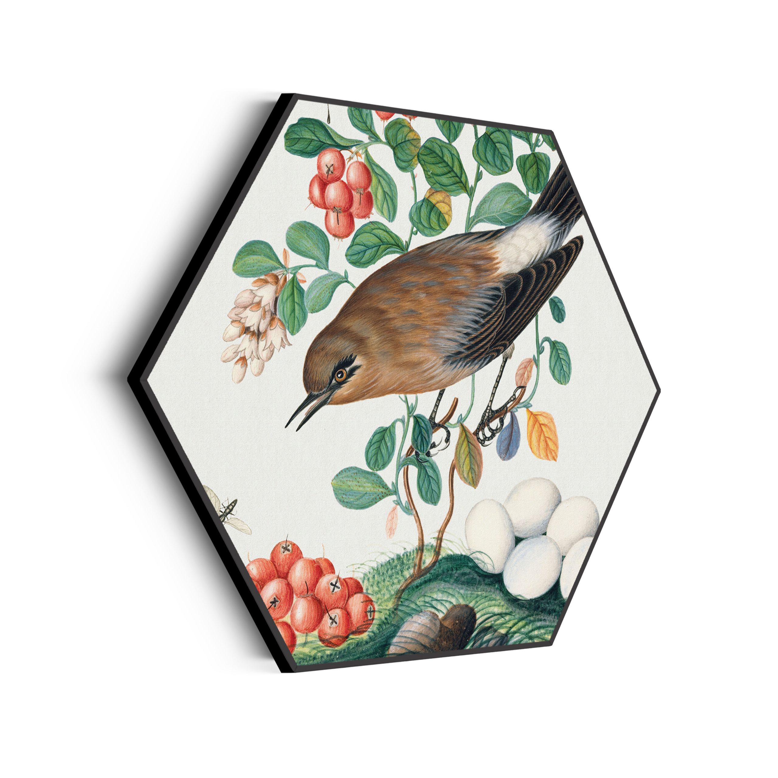 Template_Hexagon_vintage_5-scaled Akoestisch Schilderij Prent Natuur Vogel en Bloemen 05 Hexagon Template Hexagon vintage 5 scaled 1