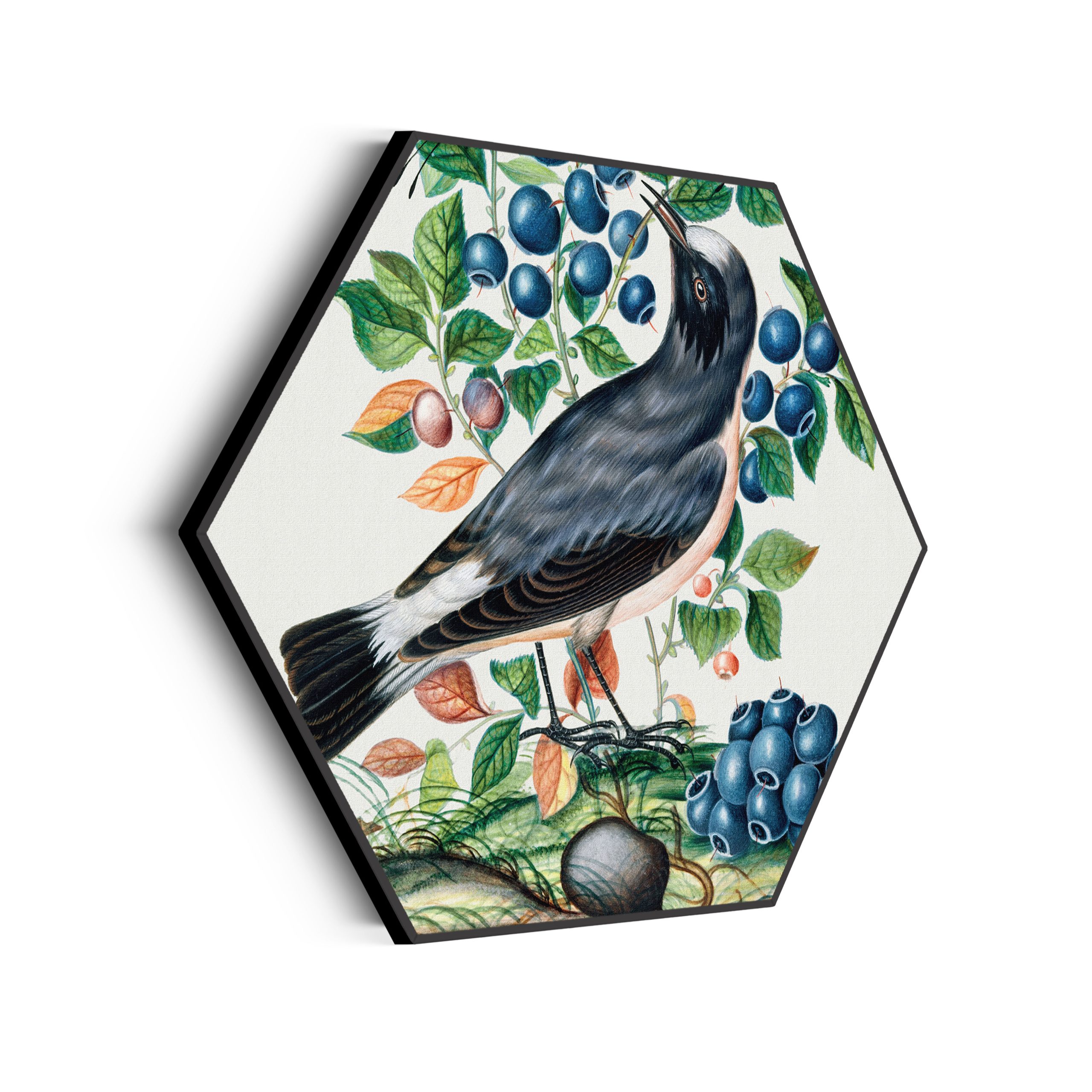 Akoestisch Schilderij Prent Natuur Vogel en Bloemen 06 Hexagon Template Hexagon vintage 6 scaled 1