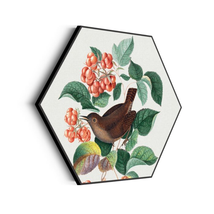 Akoestisch Schilderij Prent Natuur Vogel en Bloemen 08 Hexagon Template Hexagon vintage 8 scaled 1