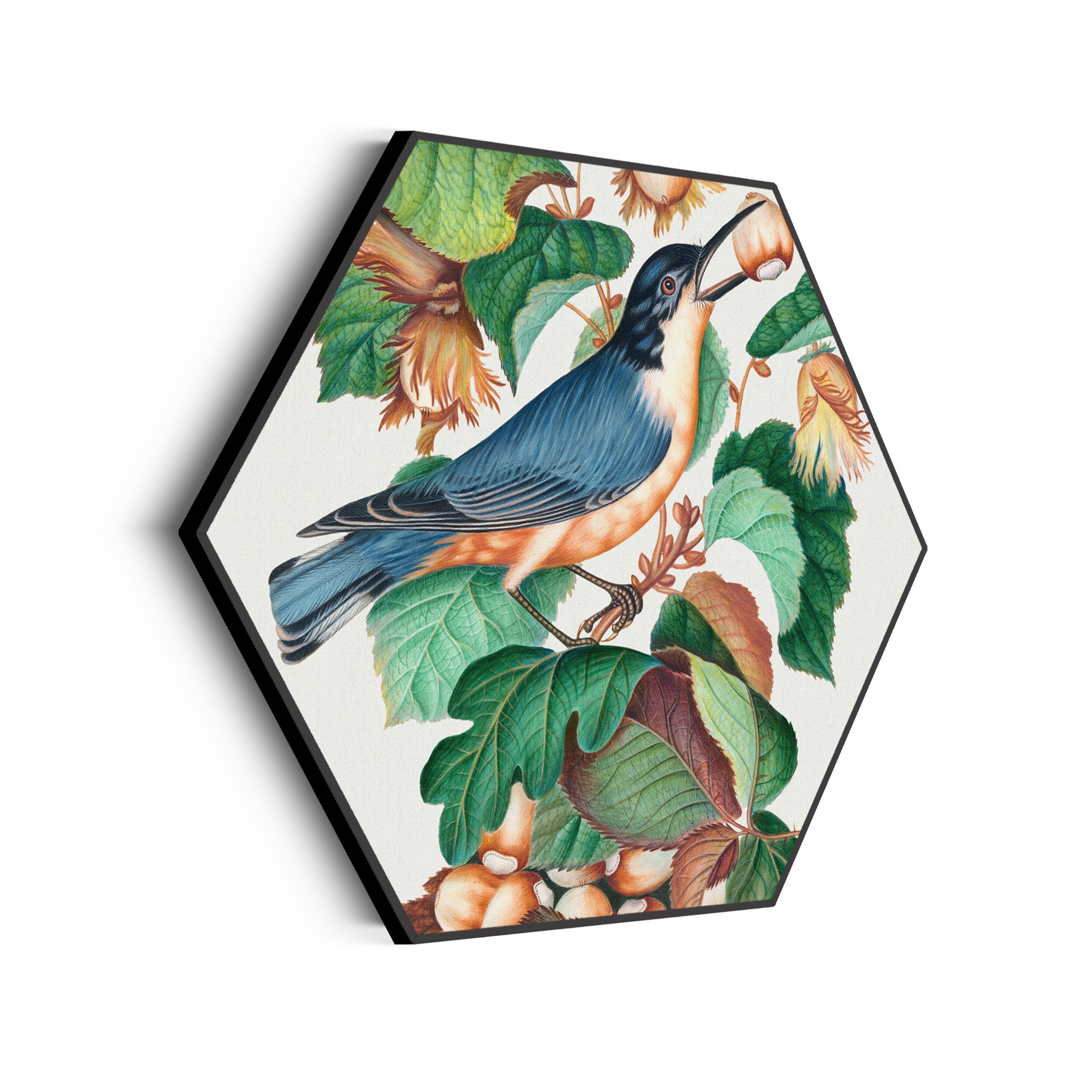 Akoestisch Schilderij Prent Natuur Vogel en Bloemen 09 Hexagon Template Hexagon vintage 9 scaled 1