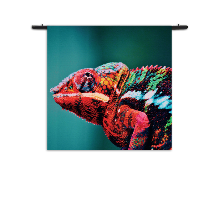Wandkleed Kameleon Kleurrijk Rechthoek Vierkant