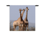 Wandkleed Drie Giraffen Rechthoek Vierkant