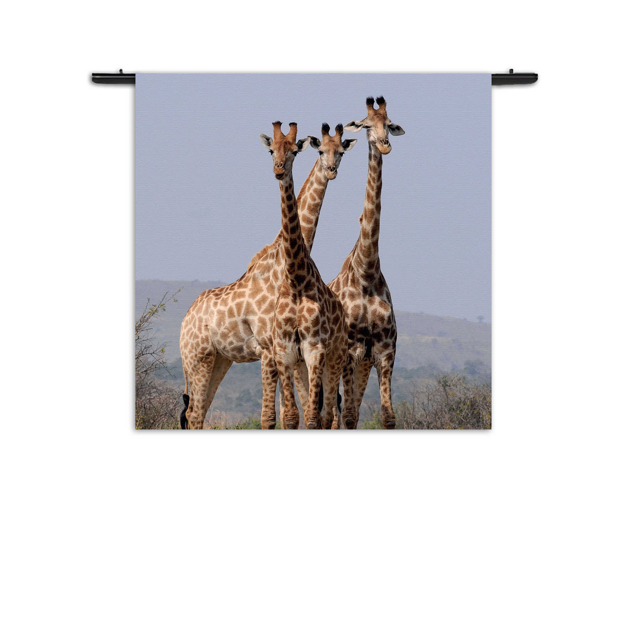 Wandkleed Drie Giraffen Rechthoek Vierkant