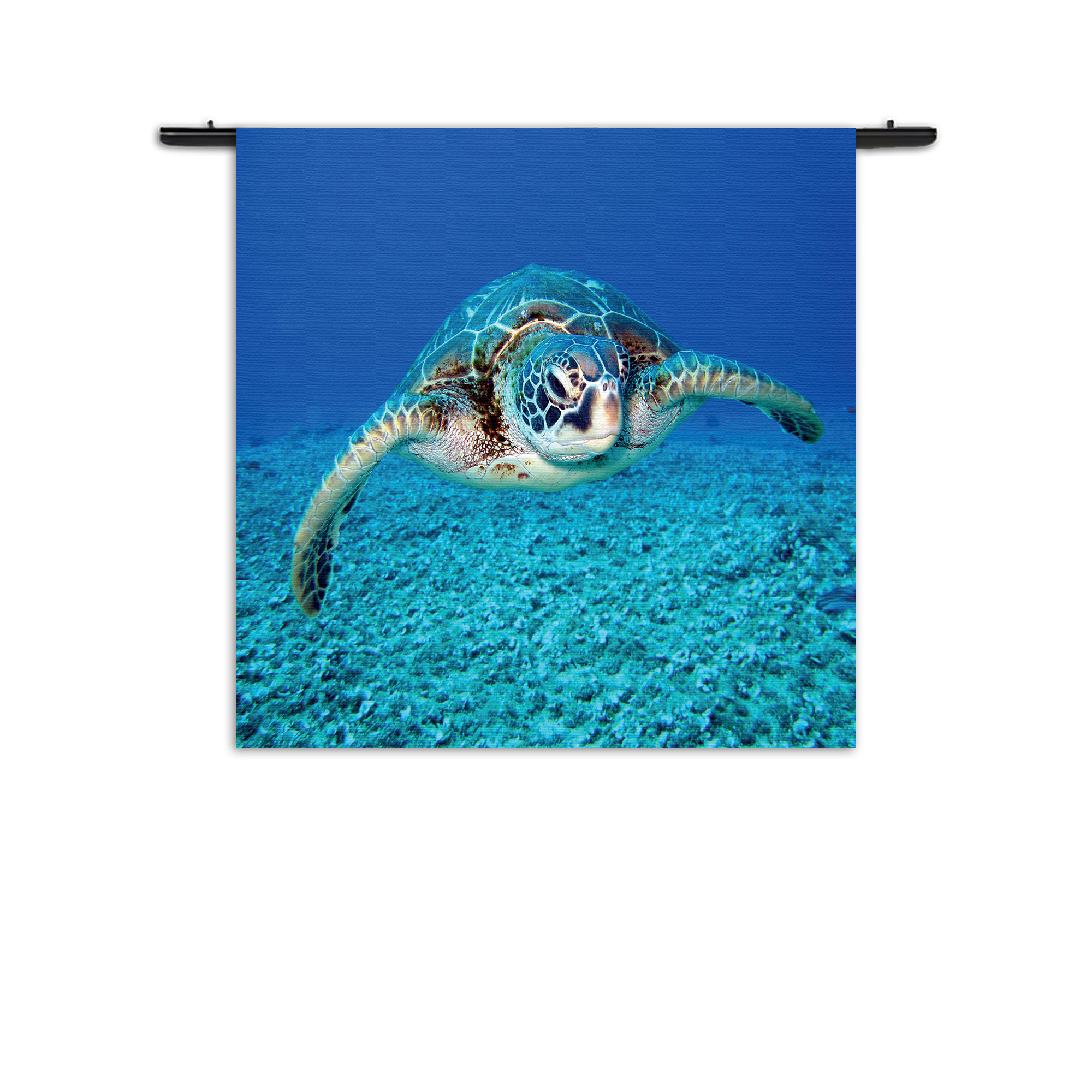Wandkleed Zeeschildpad In Helderblauw Water 01 Rechthoek Vierkant