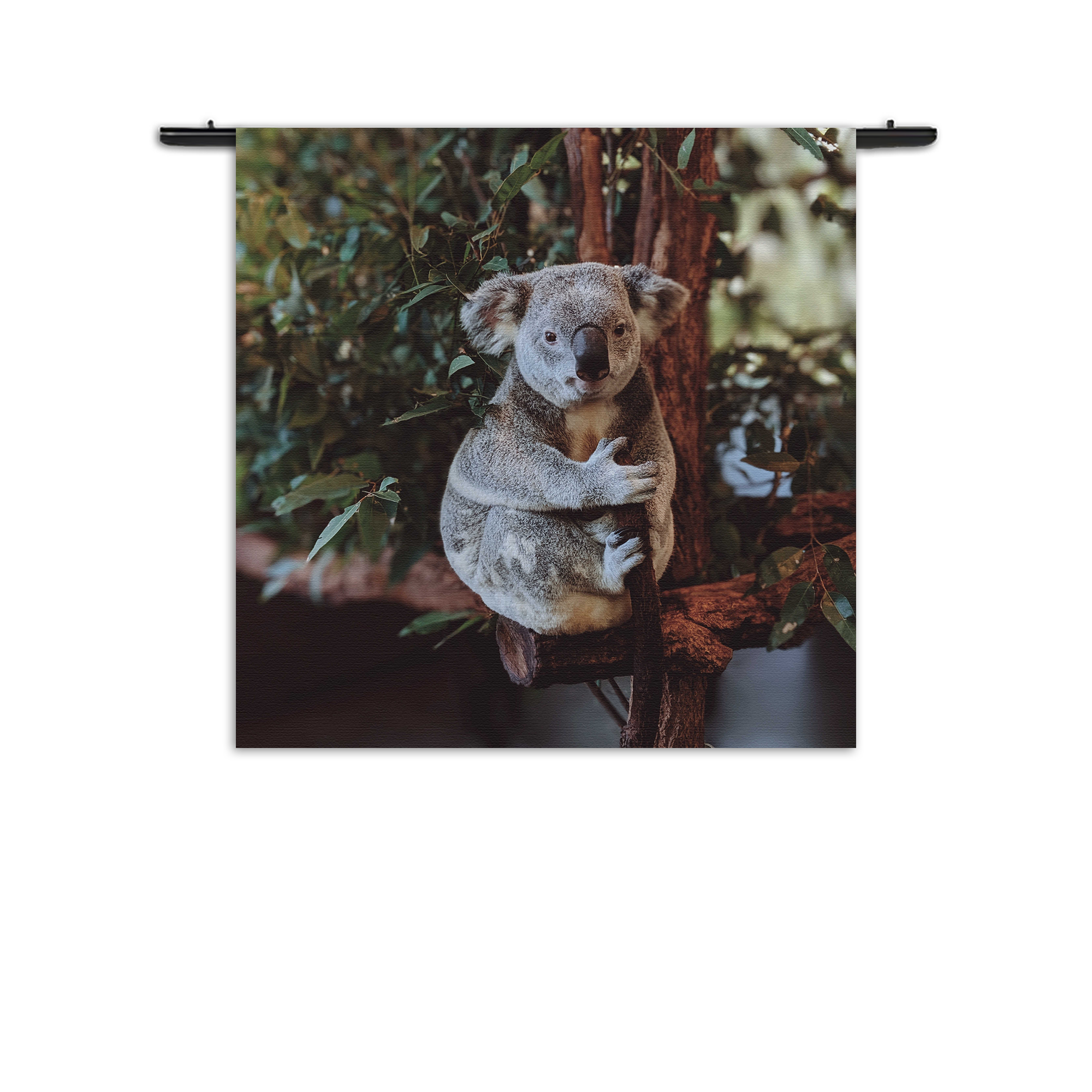 Wandkleed De Vastgelamde Koala Rechthoek Vierkant