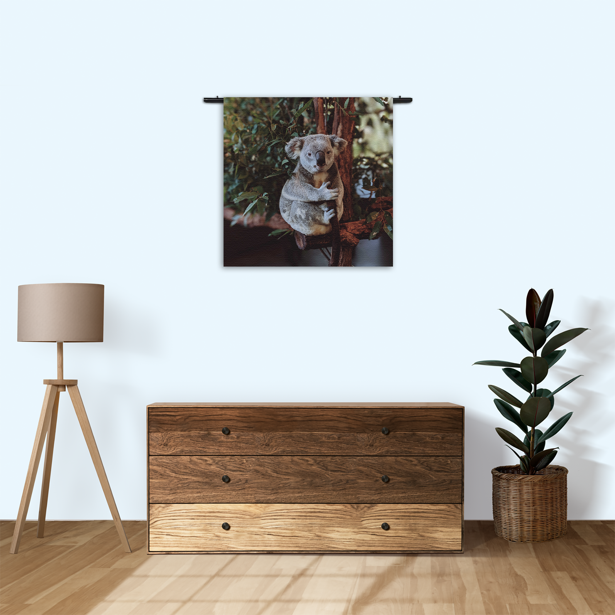 Wandkleed De Vastgelamde Koala Rechthoek Vierkant Template Vierkant Rond Dieren 23 3