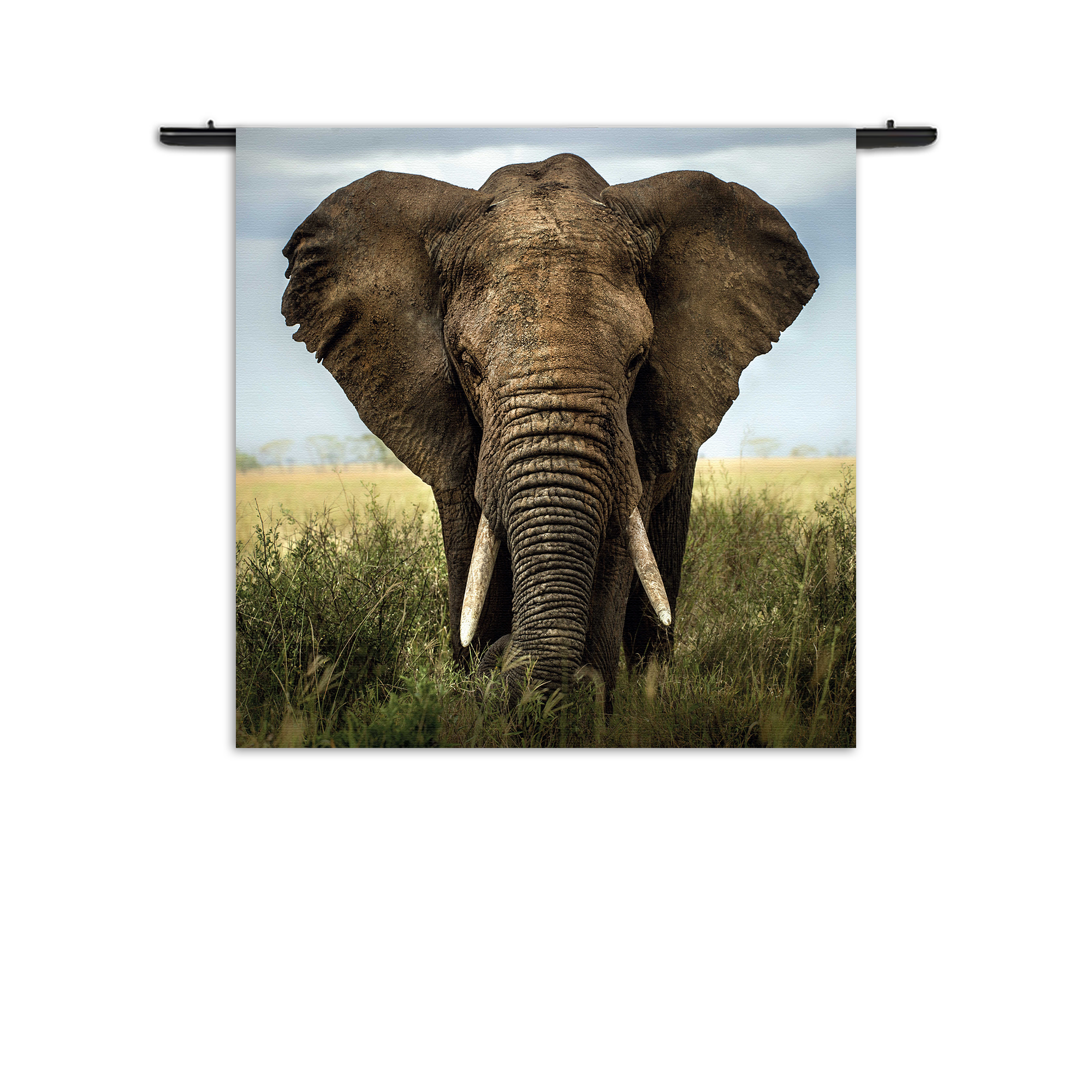 Wandkleed Olifant Rechthoek Vierkant