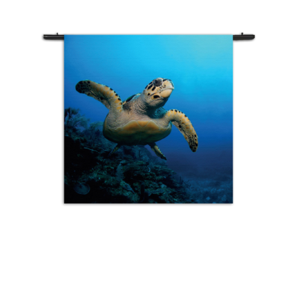 Wandkleed Zeeschildpad In Helderblauw Water 02 Rechthoek Vierkant