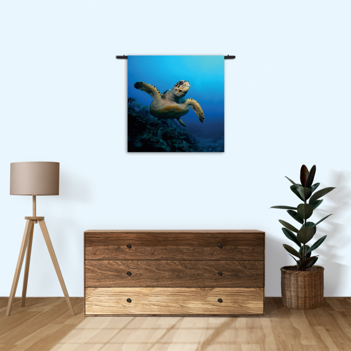 Wandkleed Zeeschildpad In Helderblauw Water 02 Rechthoek Vierkant Template Vierkant Rond Dieren 26 3