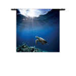 Wandkleed Zeeschildpad In Helderblauw Water 03 Rechthoek Vierkant