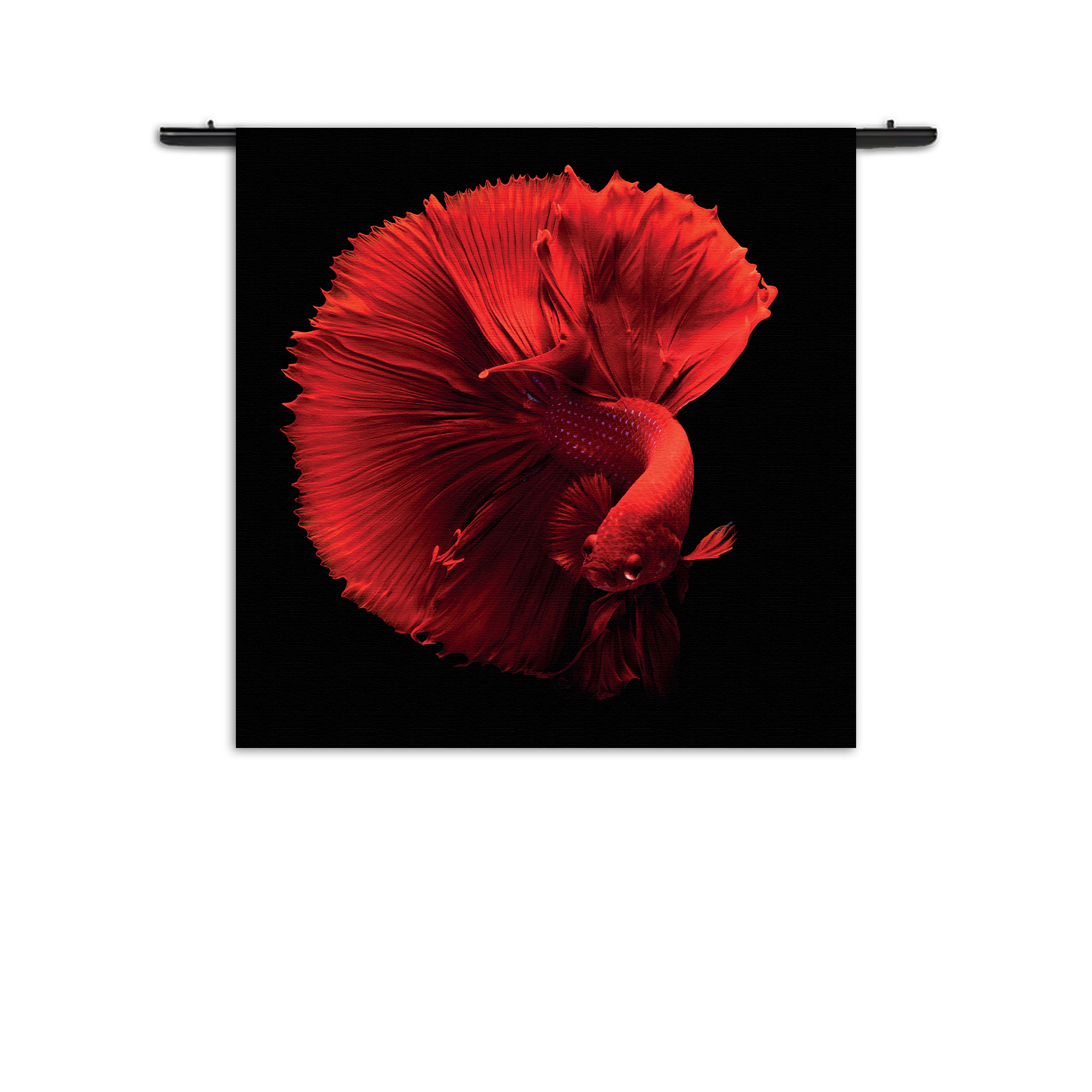 Wandkleed Red Dragon Siamese Fighting Fish Rechthoek Vierkant